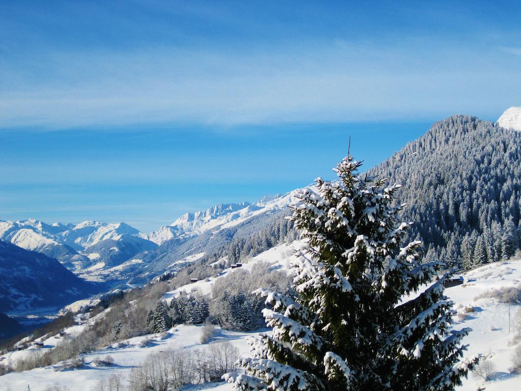 Hotel Kistenpass 3*